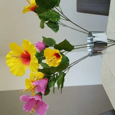 Ideal Familias Y Grupos Apartamento Vigo