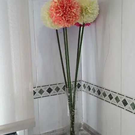 Ideal Familias Y Grupos Apartamento Vigo