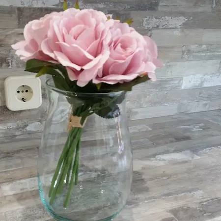 아파트 Casa Castrelos Ideal Familias Y Grupos *