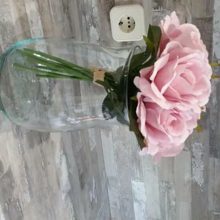 Ideal Familias Y Grupos *